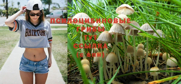 мдпв Наволоки