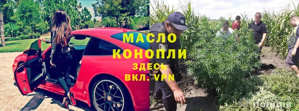 гашик Михайловка