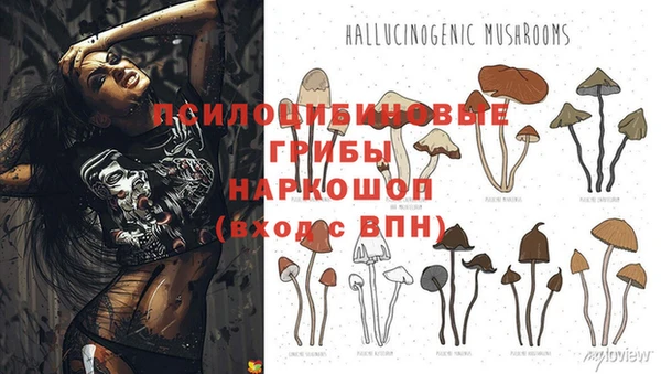 мдпв Наволоки