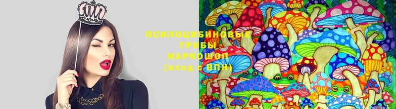 Псилоцибиновые грибы MAGIC MUSHROOMS  МЕГА как войти  площадка какой сайт  Ульяновск 