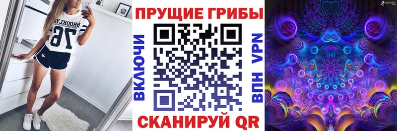 МЕГА ссылки  наркошоп  Ульяновск  Псилоцибиновые грибы Cubensis 