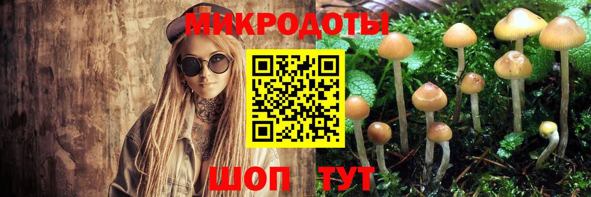 Галлюциногенные грибы Cubensis  продажа наркотиков  Ульяновск  Вход с VPN 