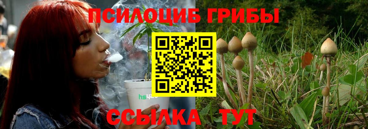 Псилоцибиновые грибы мухоморы Ульяновск