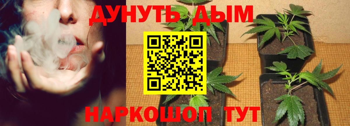 Бошки марихуана White Widow Ульяновск